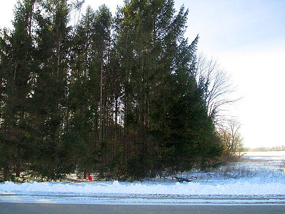 5th image of 12 Acres County Road Ff
