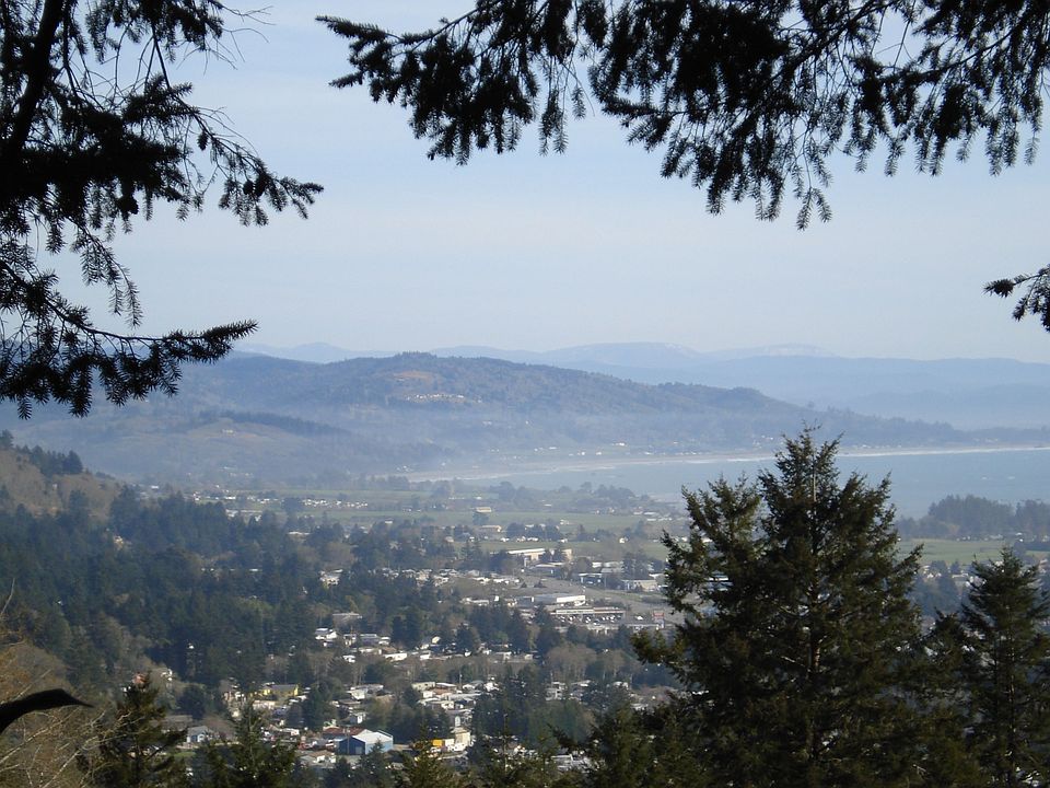 View from Deck