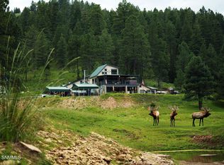 86 Telephone Canyon Rd, Sacramento, NM 88347