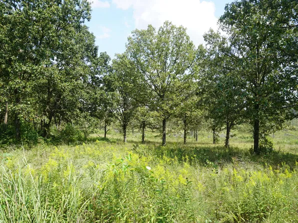 1804 Luna Drive, West Plains, MO 65775