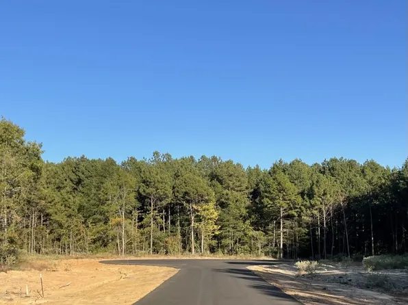 21 Stonebrook Ct, Diana, TX 75640