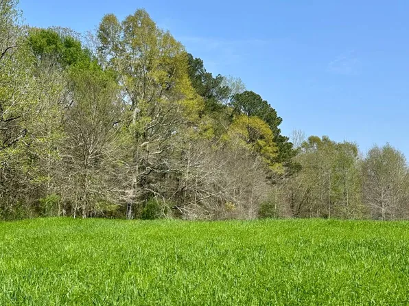 10971 County Road 187, Carthage, MS 39051