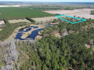 680 Porters Lndg LOT 1, Clyo, GA 31303