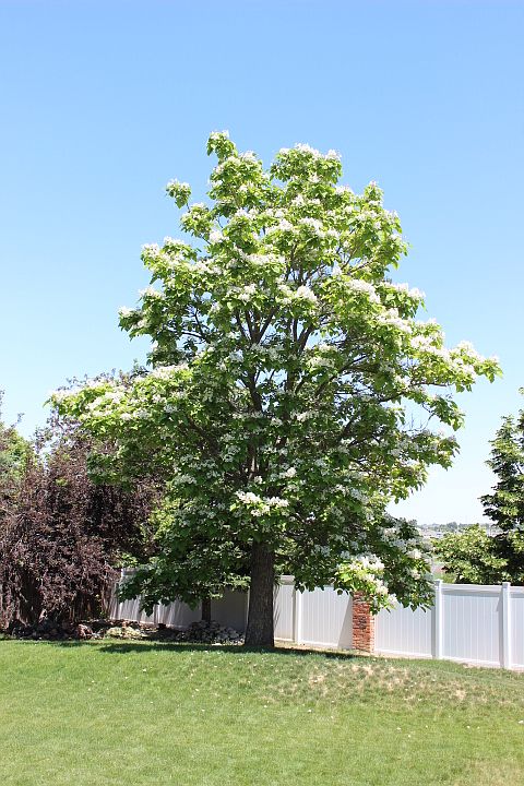 2nd image of 801 W 126th Ct