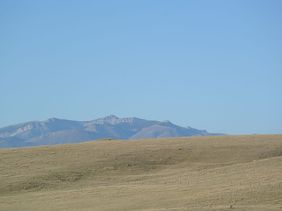 2nd image of Cedar Drive
