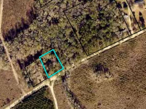 Colesburg Tompk V L N S Colesburg Tompkins Rd, Woodbine, GA 31569