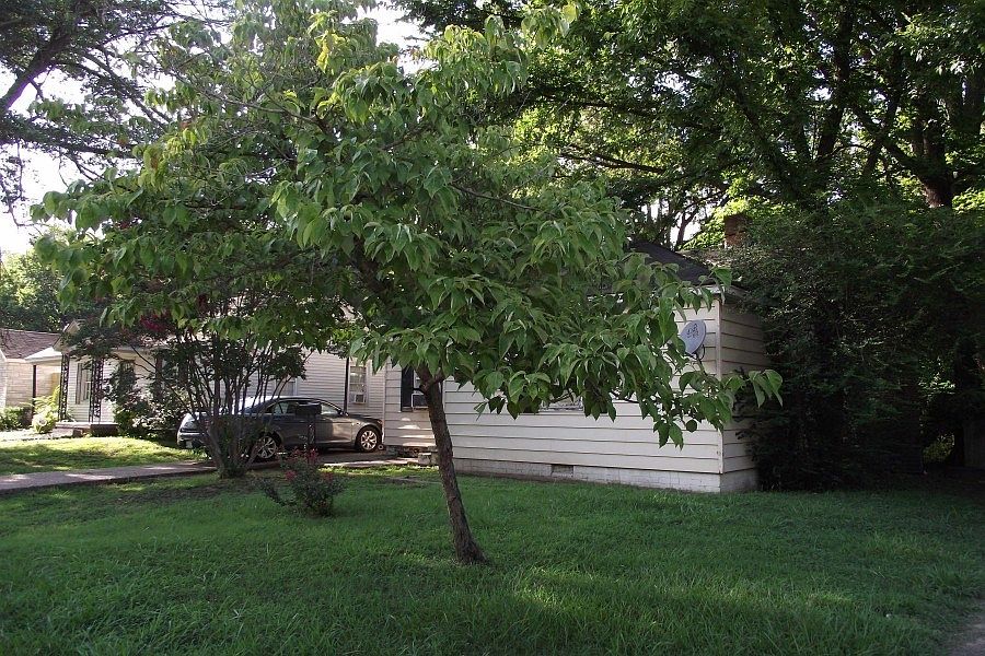 2nd image of 3636 Wilshire Rd