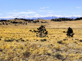 Lot 77 Black Bear Road LOT 77, Hartsel, CO 80449