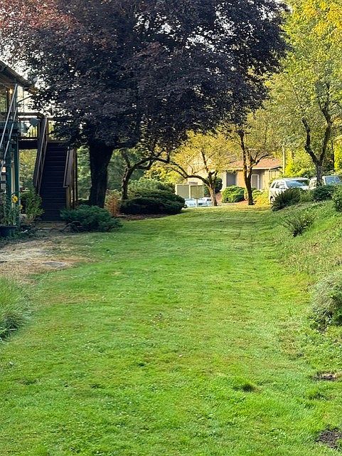 another view of the front yard