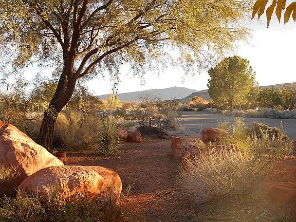 Looking out from front yard
