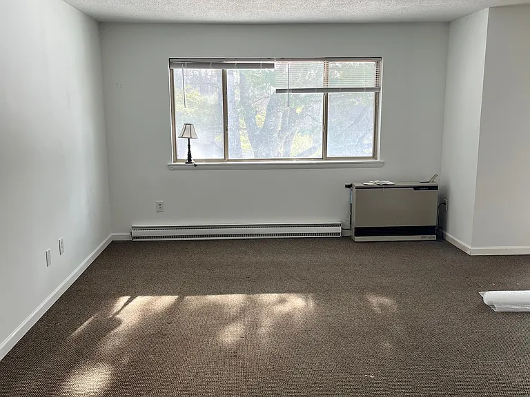 Large Living Room