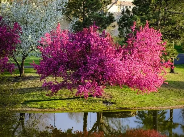 7000 E Quincy Avenue Bldg F #217, Denver, CO 80237