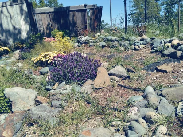 7203 Amador Ct, Corning, CA 96021