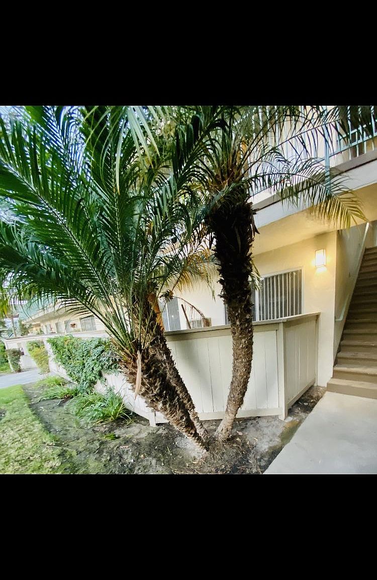 12171 Chapman Ave APT 7 Garden Grove CA 92840 Zillow