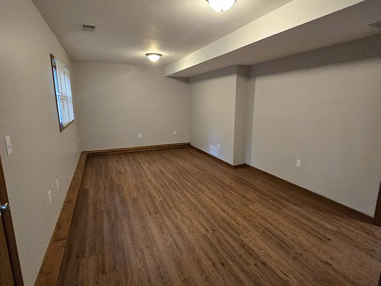 lower level family room