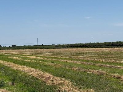 20228 S Harrold Ave, Escalon, CA, 95320