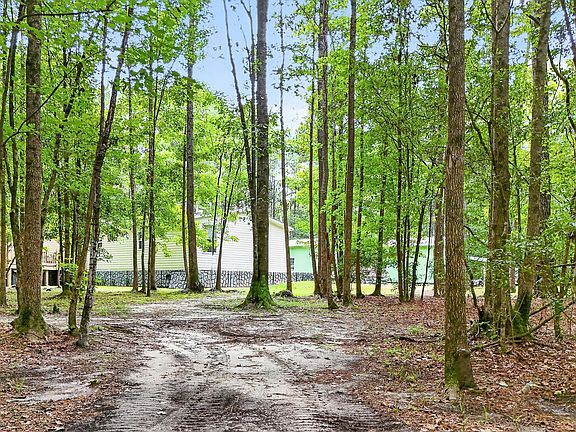 3rd image of 173 Gum Branch Rd