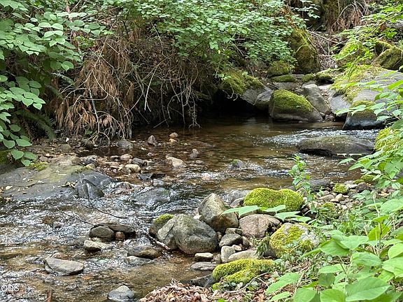 4th image of 1600 Neil Creek Rd