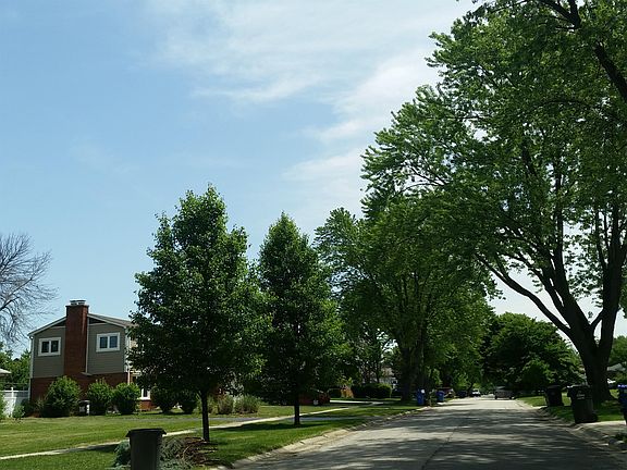 5th image of 388 King Ln