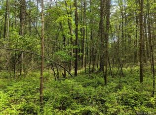 Loch Ada Rd, Glen spey, NY 12737