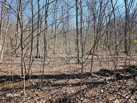 4th image of LOT 64 Candlemoss Dr