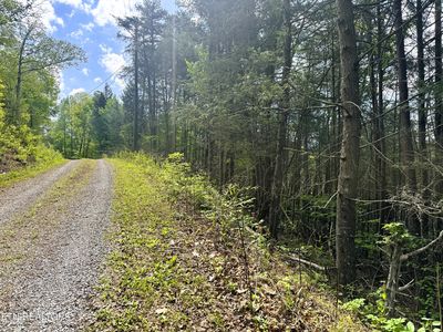 Montevallo Rd, Sevierville, TN, 37876