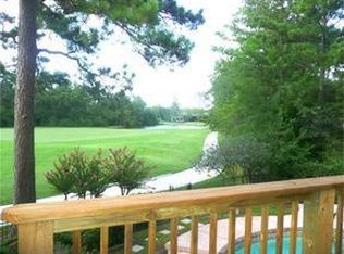 52 Buttonbush Ct, Spring, TX 77380