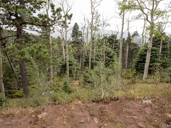 Lot 2825 Moir Drive LOT 2825, Fort Garland, CO 81133