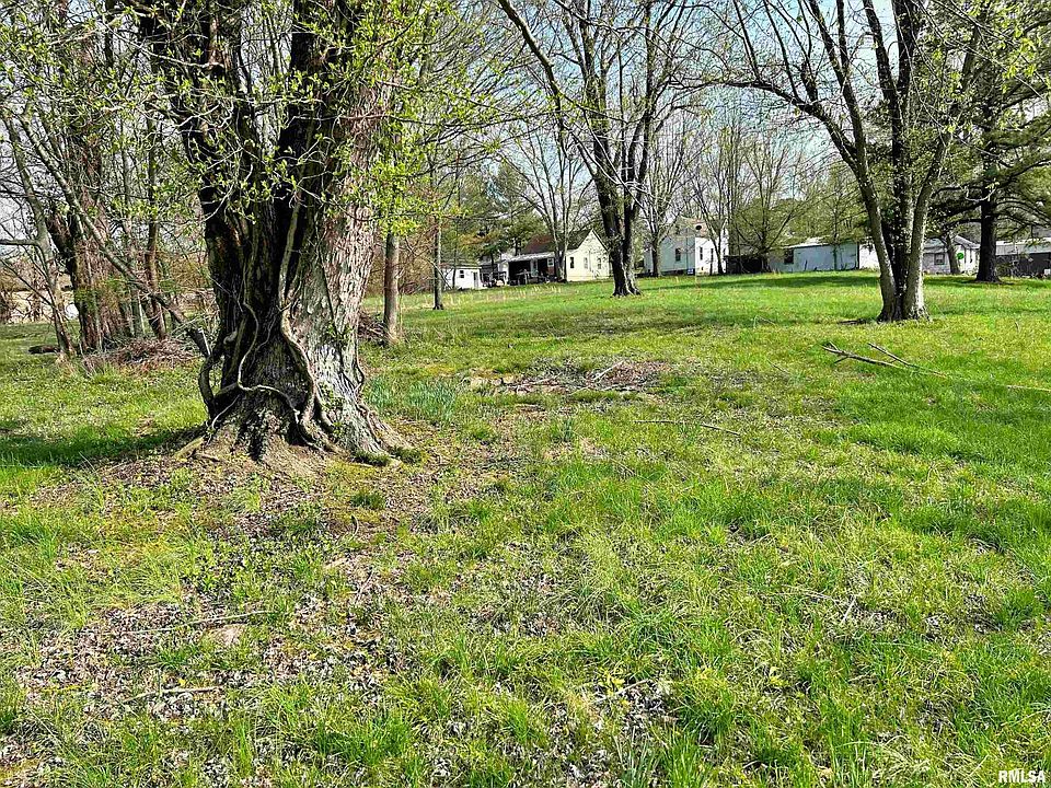 0 S Lewis St, Golconda, IL 62938 Zillow