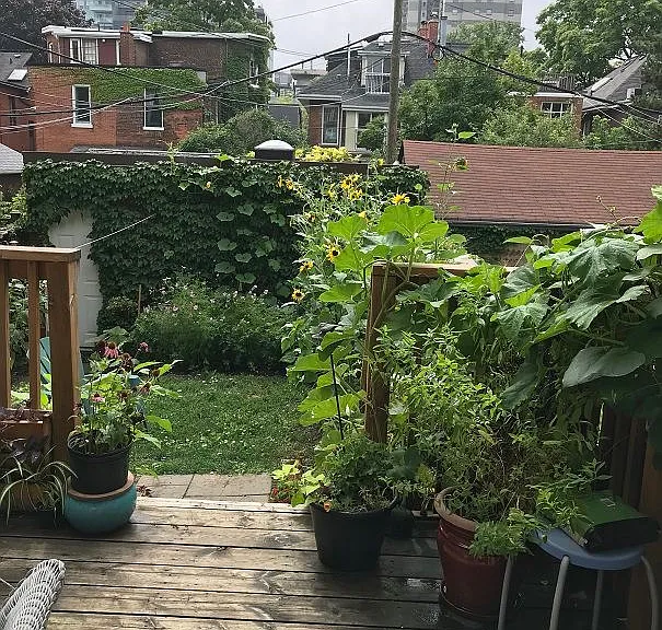 33 Dupont St #2 — Photo 8