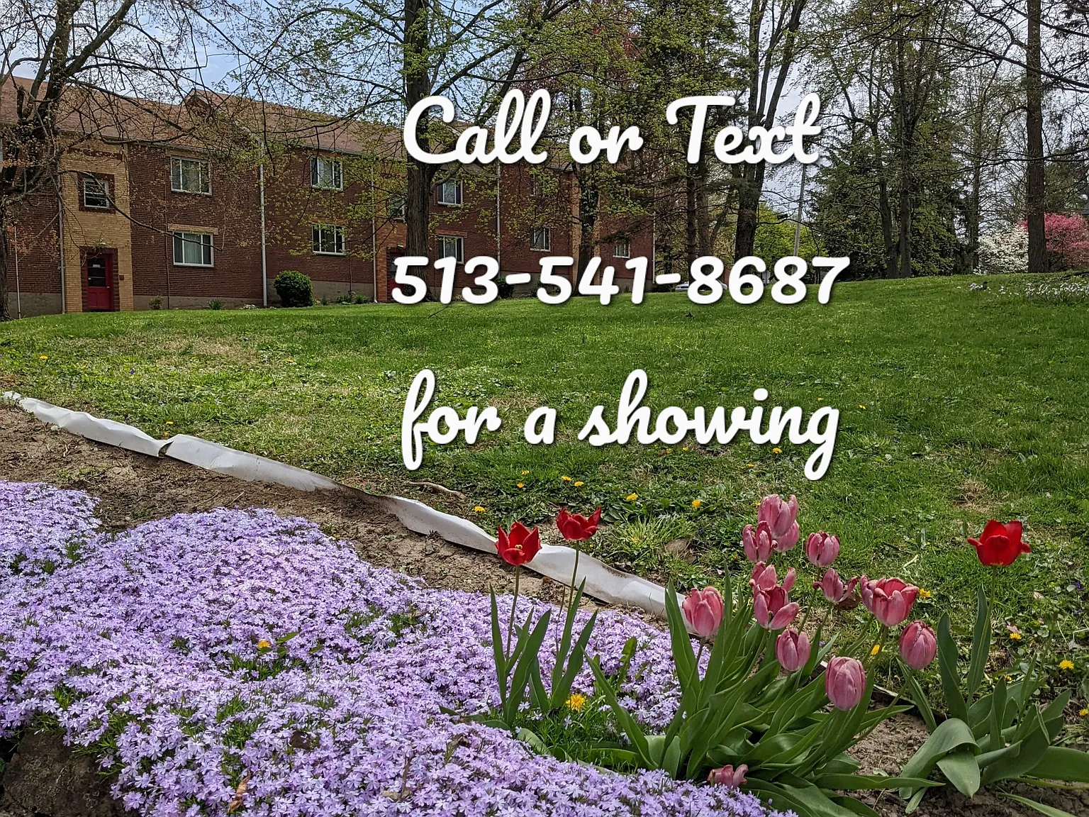 1 bed, 600 sqft, $945 — Photo 4