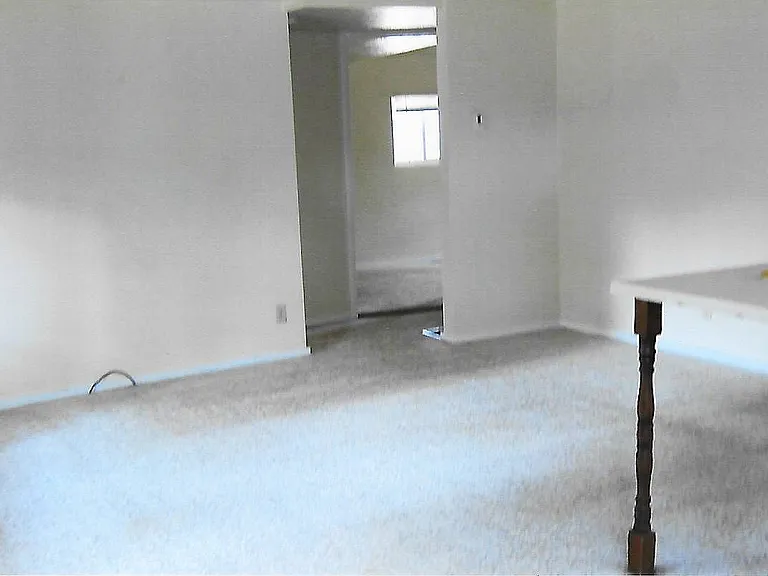 4774 S Pine Rd — Photo 4
