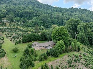 455 Avery Ln, Newland, NC 28657