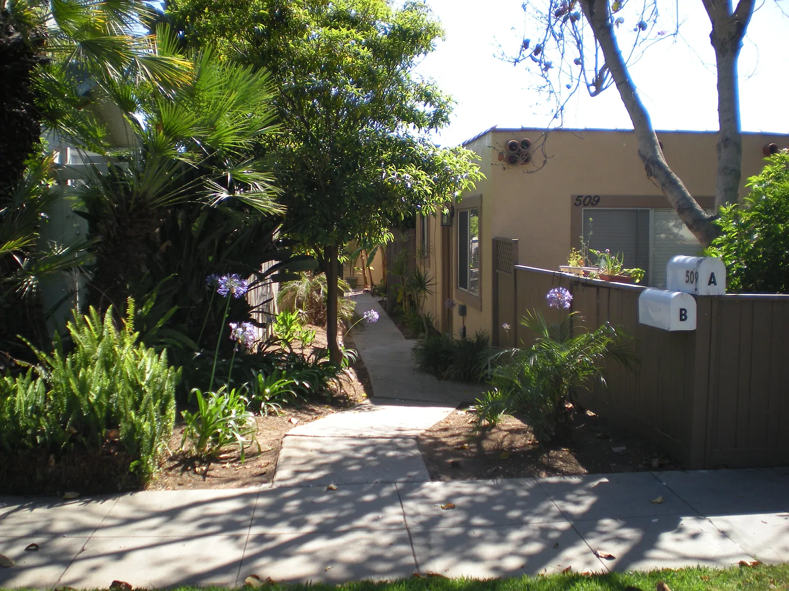 2 bed, 1000 sqft, $3,495 — Photo 3