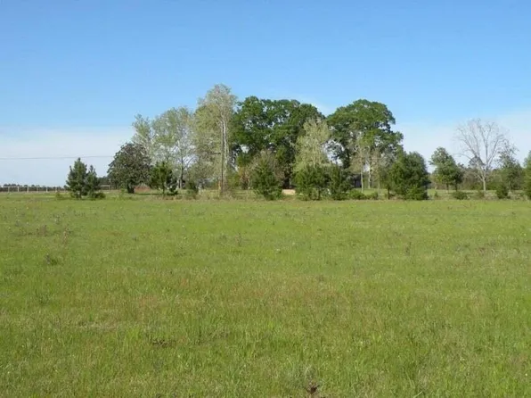 Highway 121, Hineston, LA 71438