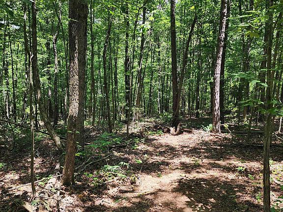 4th image of 7218 County Road 26 #10
