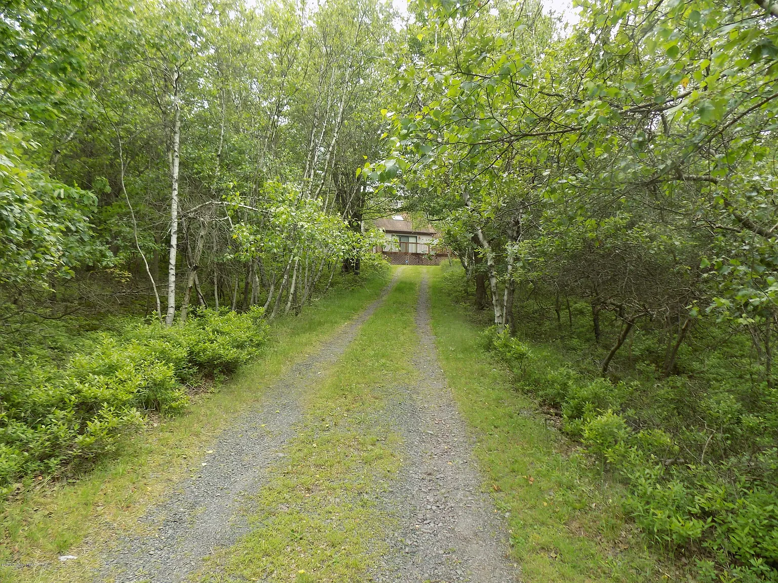 219 Lookout Dr photo 1