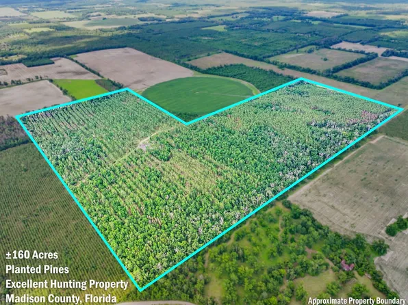 Vacant Ne Dusty Miller Ave, Madison, FL 32340