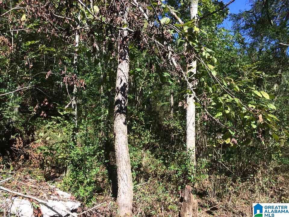 2nd image of 3601/sand Valley Rd