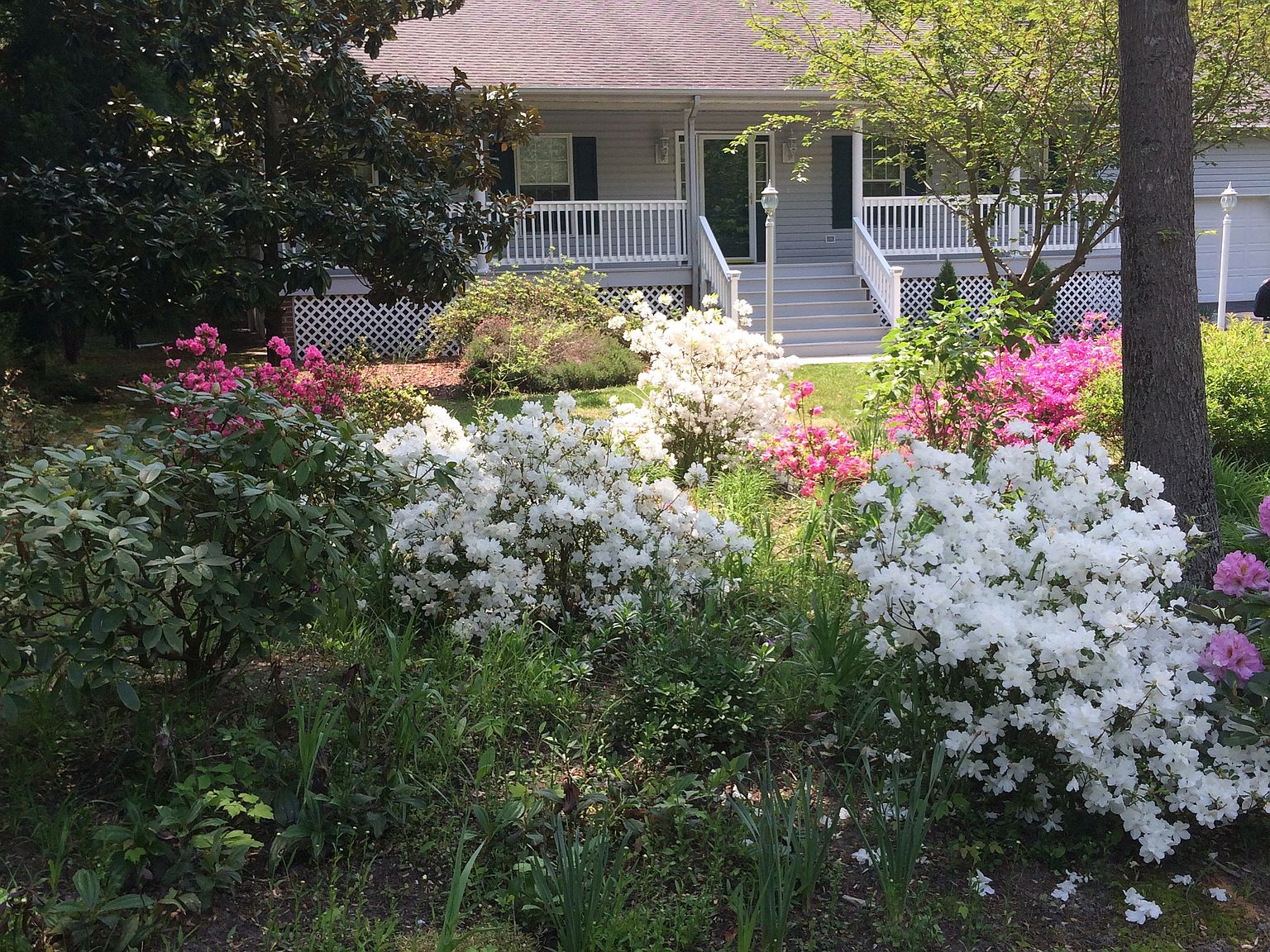 8239 Founders Mill Way, Gloucester, VA 23061 Zillow