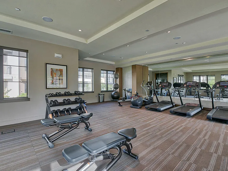 Weights and cardo equipment in 24/7 Technogym