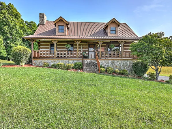 585 River Village Ln, Afton, TN 37616