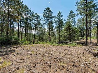 319 Blue Ridge Cir, Bayfield, CO 81122