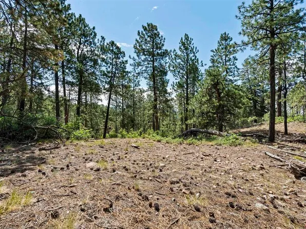 319 Blue Ridge Circle, Bayfield, CO 81122