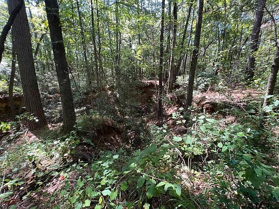3rd image of County Road 4119
