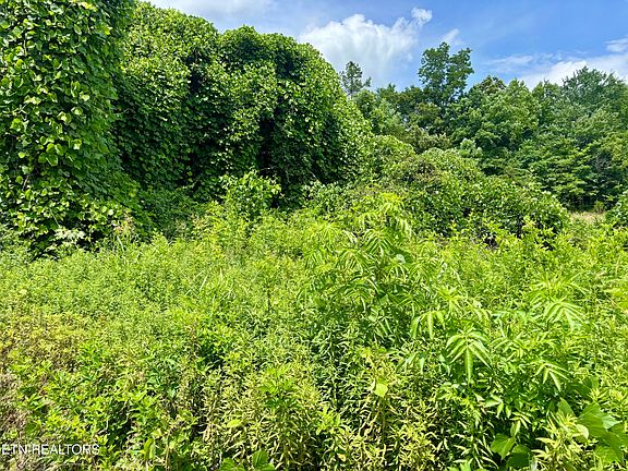 4th image of 0 Davis Hollow Rd