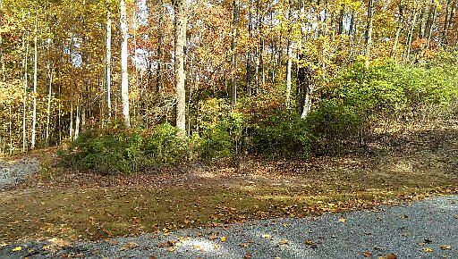 Gateway Mountain Lot