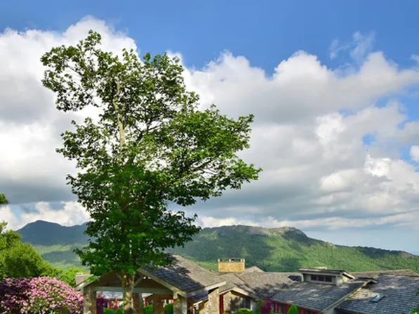 200 Ridge Dr, Linville, NC 28646