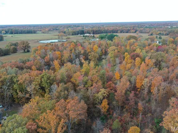 TRACT 1 Bobwhite Ln, Fairdealing, MO 63939