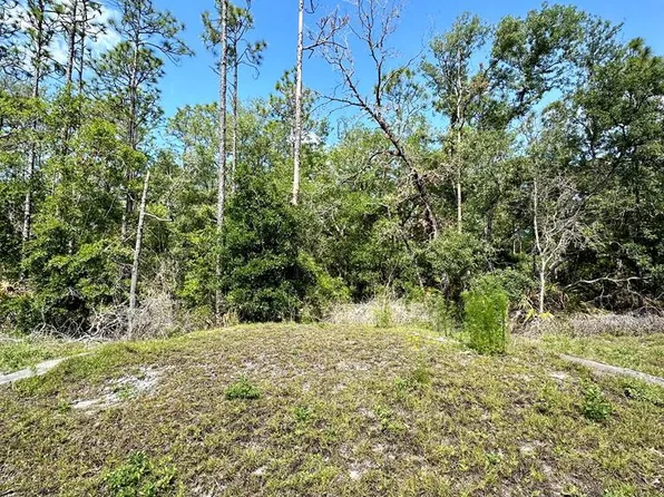 0 NE Willstone Way, Steinhatchee, FL 32359